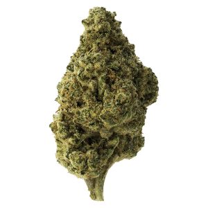 THE LOUD PLUG TROPICANA COOKIES 28G
