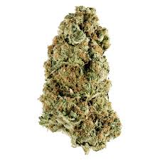 REDECAN ANIMAL RNTZ 1G
