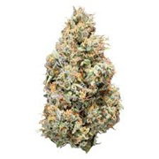 NUGZ SATIVA 14G