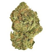 GOOD SUPPLY BRAND NEW BUDS 28G