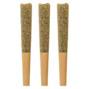 THE LOUD PLUG KEY WEST LIME INFUSED PR 3X0.5G