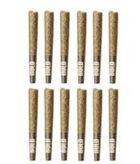 BOLD ORANGE CRUSH PR 12X0.5G