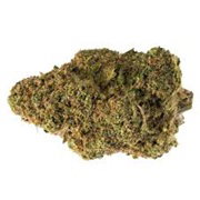 7ACRES WHITE WIDOW 7G