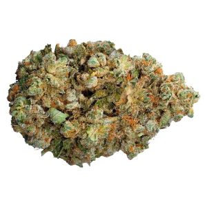 ORIGIN COAST GHOST OG 7G