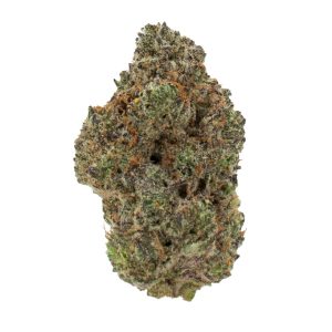 CROOKED DORY NORTHERN LIGHTS #5 28G