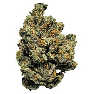 TICAL THE METHOD HYBRID 7G