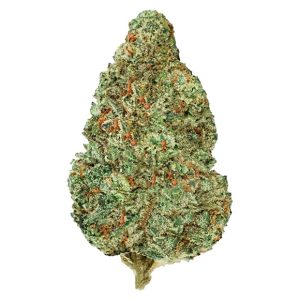 BACK FORTY CHEMZILLA 7G