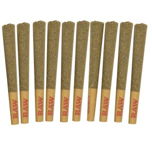 COMMON GROUND CHERRY GUSHERZ PR 10X0.5G