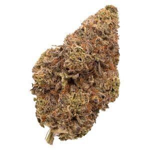 FIGR CHATTY KATHY 3.5G