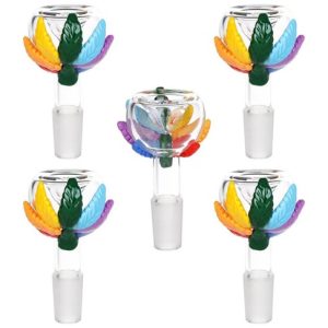 PRIDE LEAF 14MM HERB SLIDE GLASS BOWL