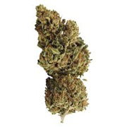 GROWN HERE DAY DREAMIN' CBD INFUSED 7G
