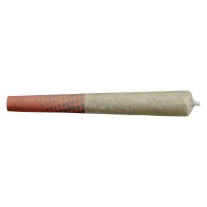 BIG BAG O' BUDS DOOBS BLUEBERRY DREAM PR 10X0.5G