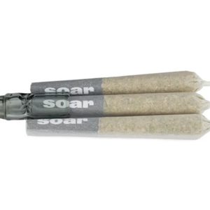 SOAR BRAIN CAKE PR 3X0.5G