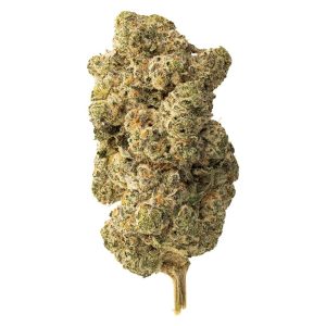 THE LOUD PLUG LEMON GELATO 7G