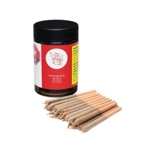 VERSUS SATIVA JAR OF J'S PR 20X0.35G