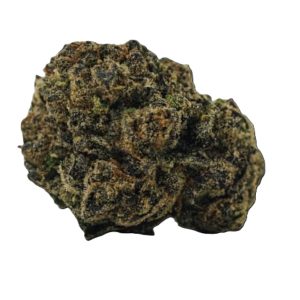 BOLD ROCKET FUEL 14G