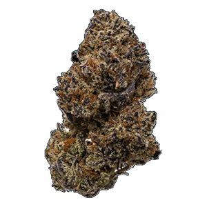 SNICKLEFRITZ CHEM DIESEL 28G