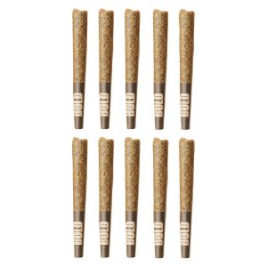 BOLD ORANGE CRUSH PR 10X0.5G
