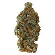 VERSUS GIRL SCOUT COOKIES 7G