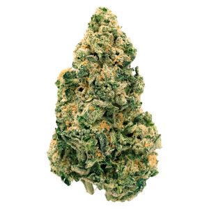 BACK FORTY GALACTIC JACK 7G