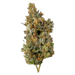 TOP LEAF NAKATOMI PLAZA 7G