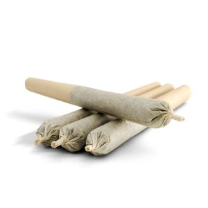 FRASER VALLEY WEED CO LITTLE RED SATIVA PR 4X0.5G