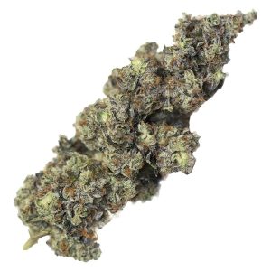 DOM JACKSON MARY-GO-ROUND 7G