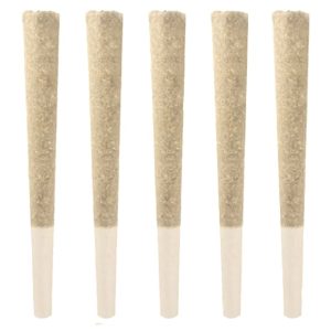 DOM JACKSON GAS PACK PR 5X0.5G