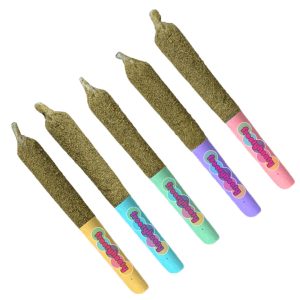 FROOTY HOOTY FROOT BASKET SAMPLER INFUSED PR 5X0.5G