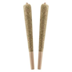 STANDARD ISSUE BING CHERRY INFUSED PR 2X0.5G