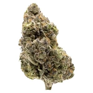 FIGR MIDNIGHT SHERB 3.5G