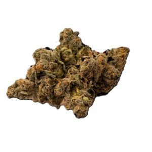 BOLD MELONHEADZ 14G