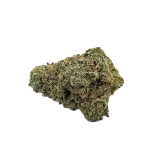 RED BARN NEON BERRY 7G